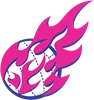Vipers Netball Club Aspley Inc