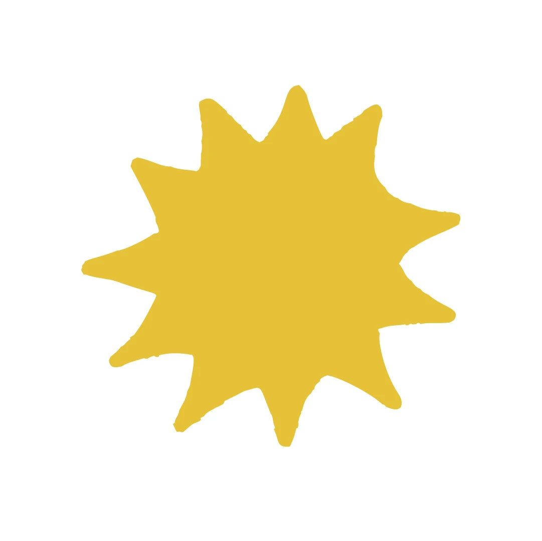 Sunshine Music Lessons