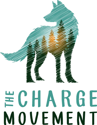 The Charge Movement