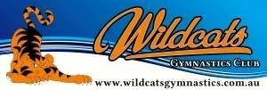 WILDCATS GYMNASTICS