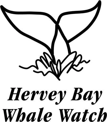Hervey Bay Whale Watch