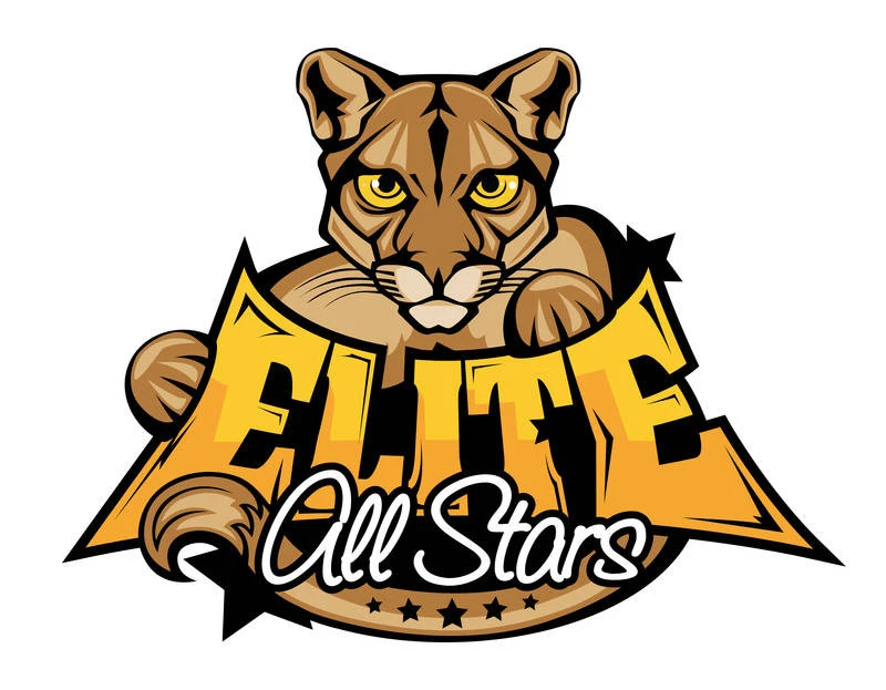 Elite All-Stars Academy