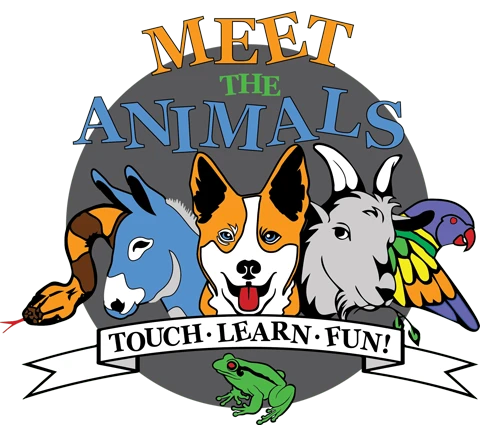 Meet The Animals