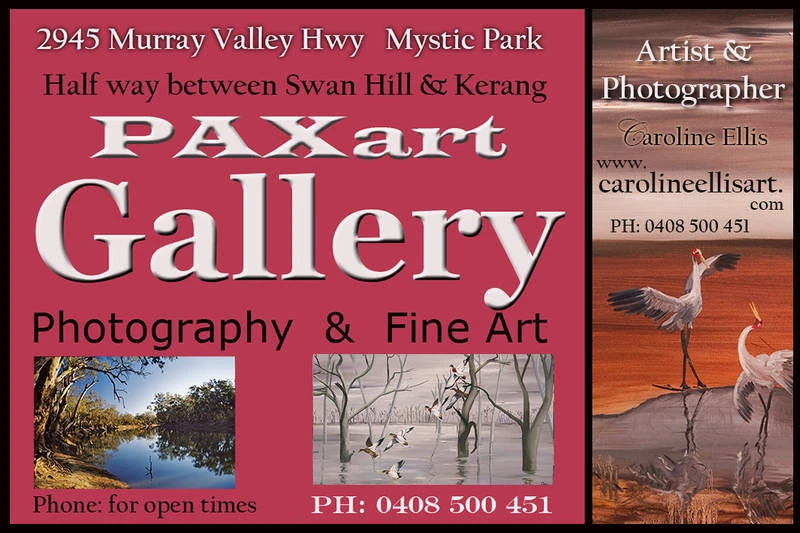 PAXart Gallery