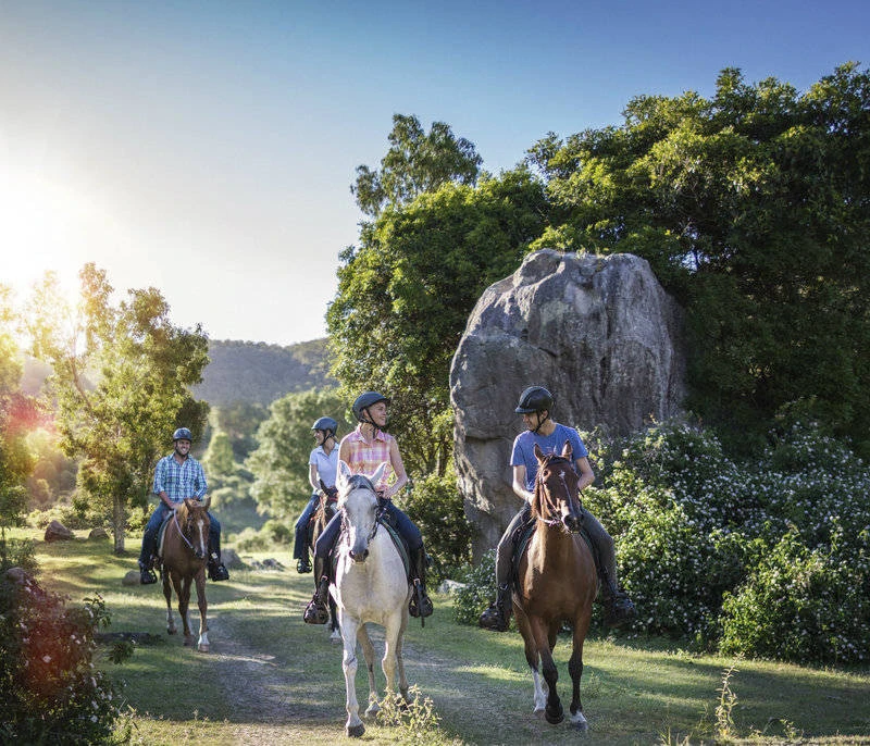 Fordsdale Horseback Adventures