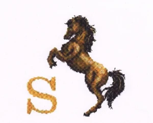 Stroud Pony Club