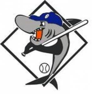 Sutherland Shire Softball Association