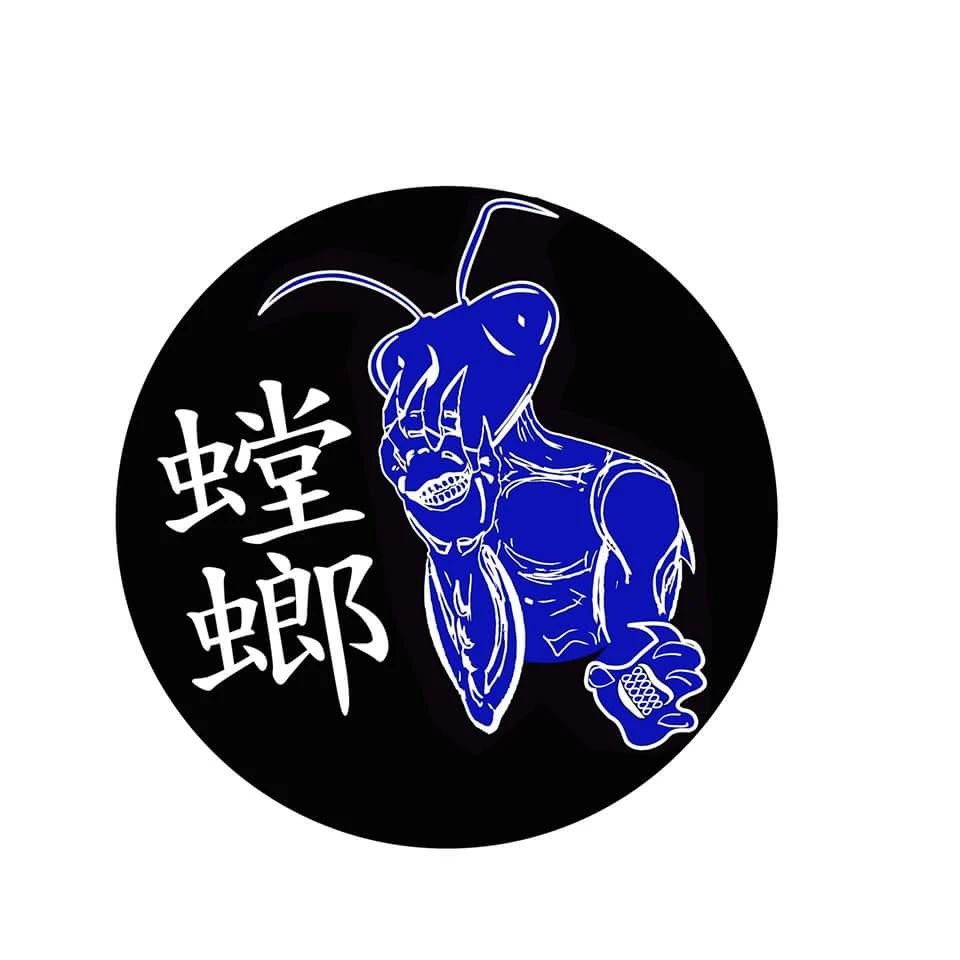 Blue Mantis Kung Fu Hervey Bay