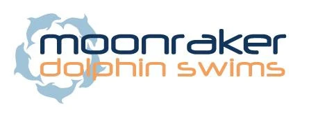 Moonraker Dolphin & Seal Swims