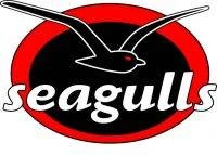 Tweed Seagulls Little Athletics Club