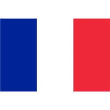 Bonjour de France! French tuition for you!