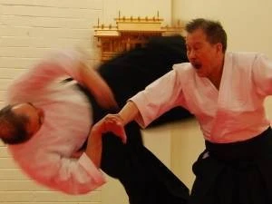 Aikido Dentoukan