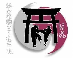 Combined Martial Arts Academy