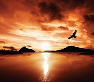 Eagles Rise Tasmania