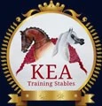 King Equestrian Academy