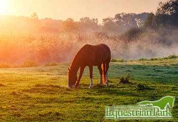 Camden Bicentennial Equestrial Park