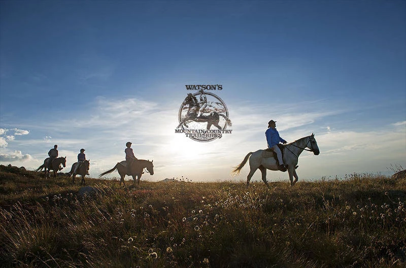 Watsons Mountain Country Trail Rides