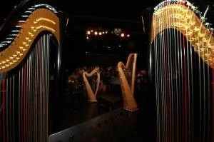 The Harp Academy- Harp, Piano and Keyboard Lesson