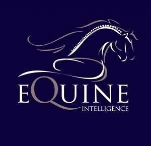 Equine Intelligence