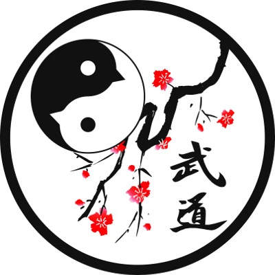 Penguin Budo | Aikido Classes