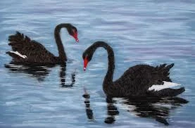 The Outspoken Swan Drama  Academy for Drama, Film and Speech