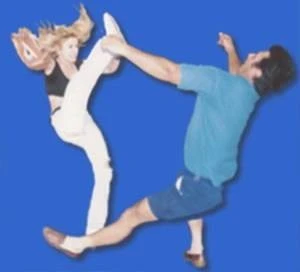 Japanese Academy of Martial Arts Sydney