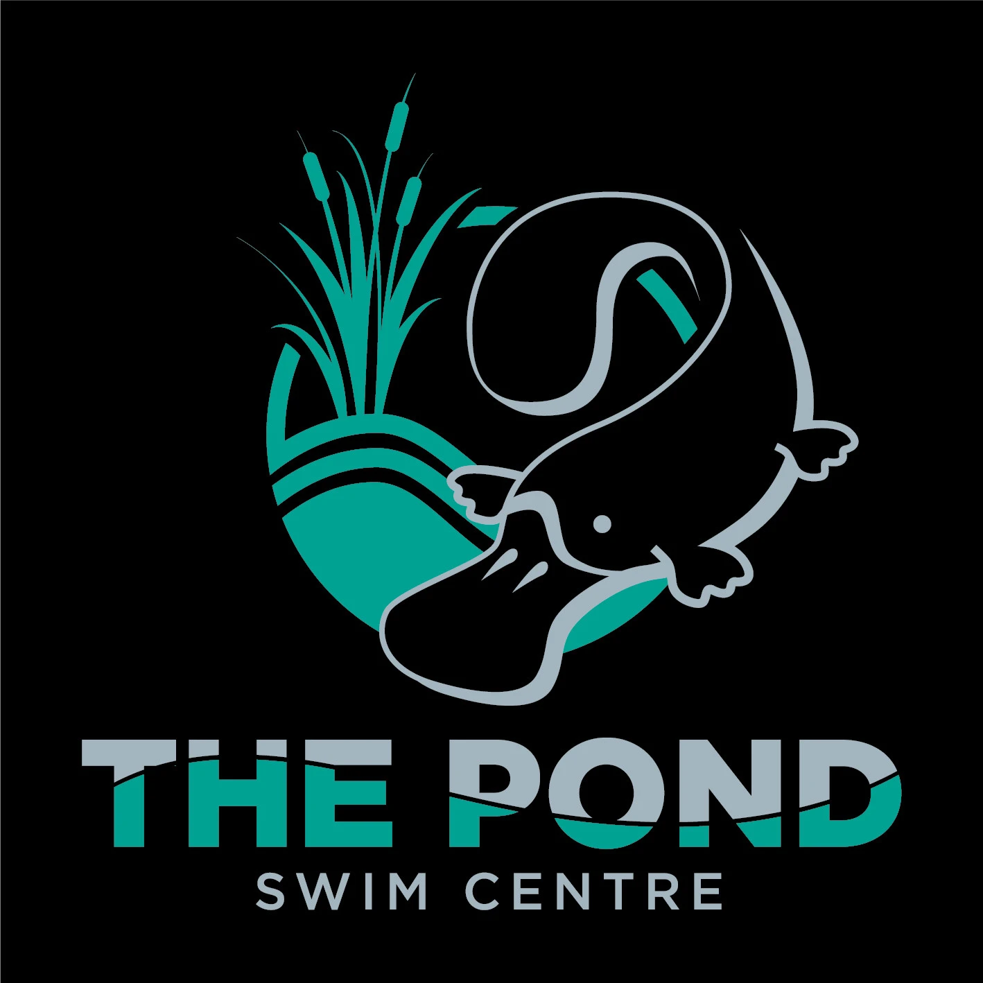 THE POND SWIM CENTRE