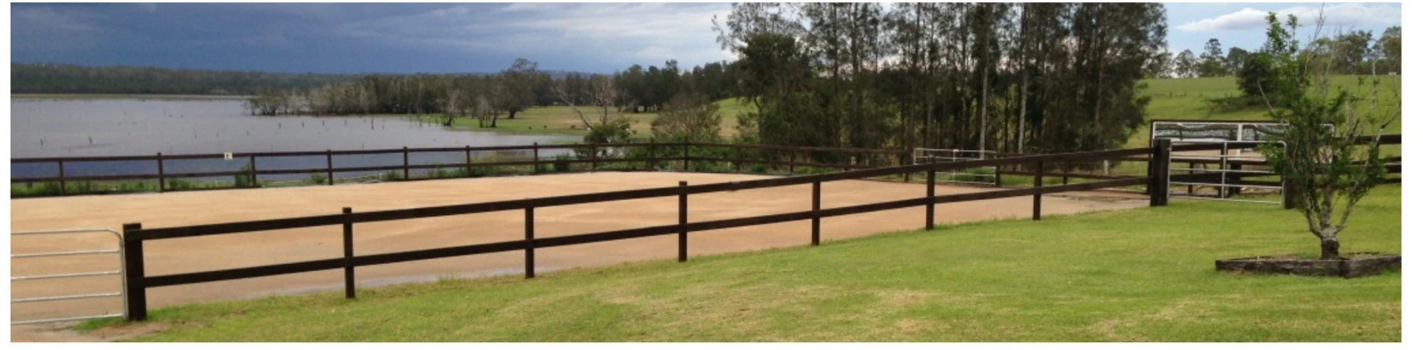 Majestic riding school (Accredited horse riding coach) Collette white