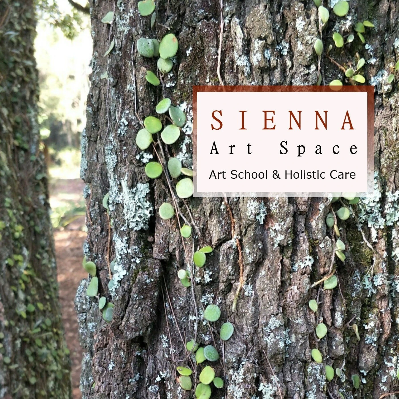 Sienna Art Space - Art School & Holistic Care