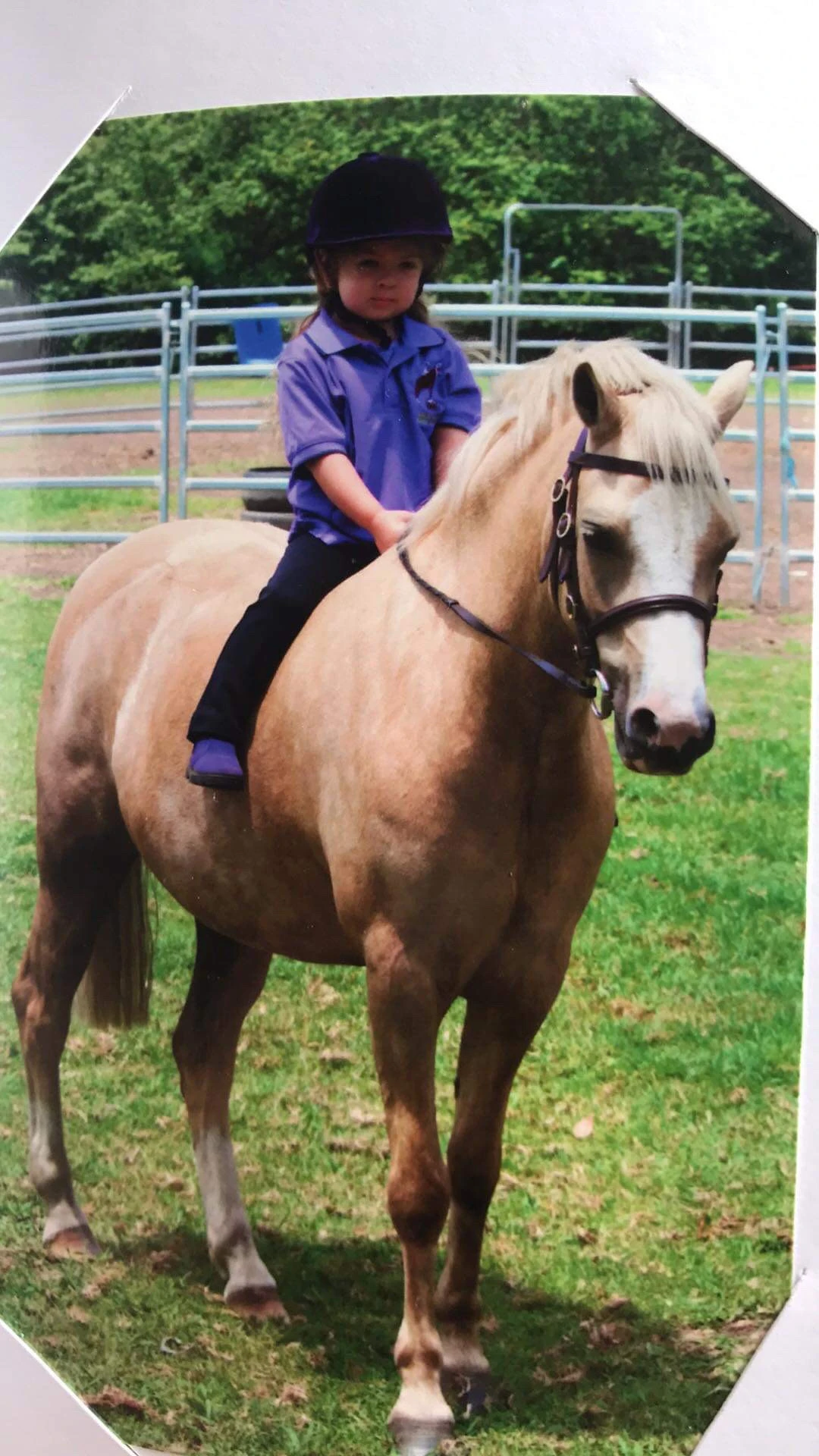 Coast Kids Horse Riding & Party Ponies