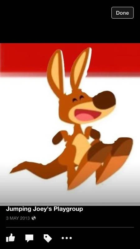 Jumping Joeys Playgroup