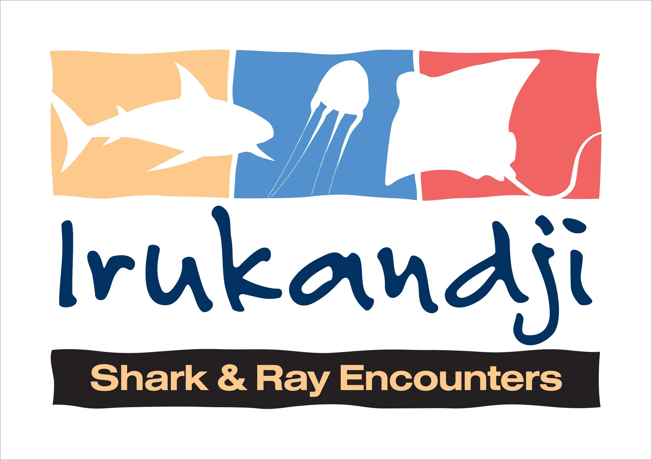IRUKANDJI SHARK AND RAY ENCOUNTERS