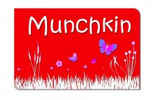 Munchkin Kids