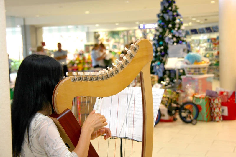 Harpist Cindy