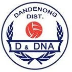 Dandenong & District Netball Association