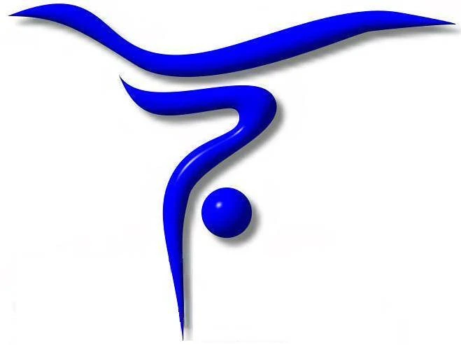 Advance Academy of Gymnastics & Acrobatics
