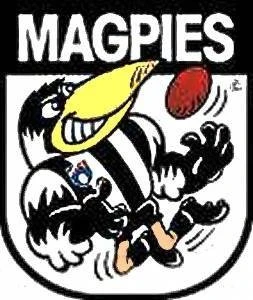 Port Macquarie Magpies AFL Club