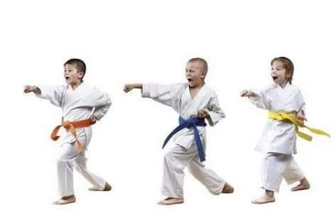 MIRRABOOKA KARATE CLUB KIDS ADULTS (WSKF PERTH)