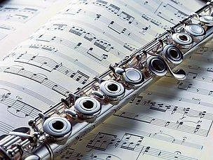 Flute & theory tuition