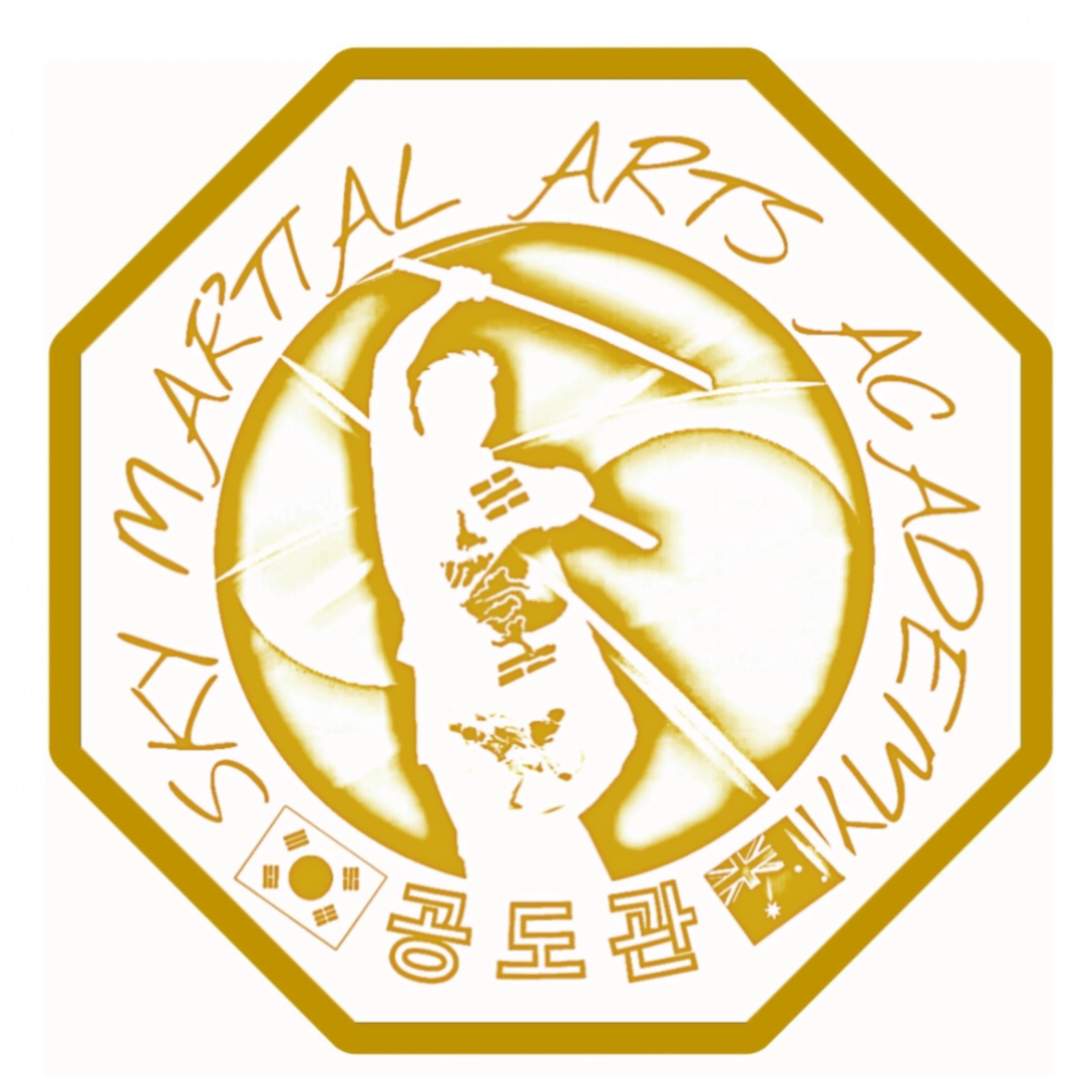 Sky Martial Arts Academy