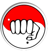 Heiko Ryu Karate