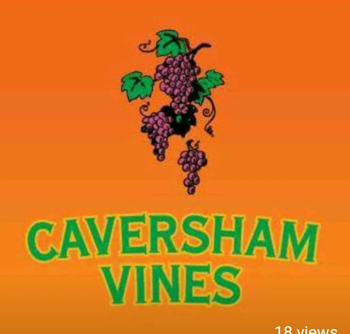 Caversham Vines Basketball Club