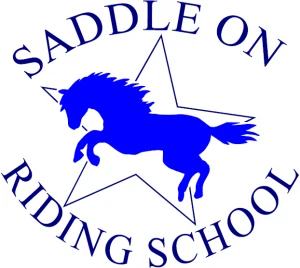 Saddle On Riding School