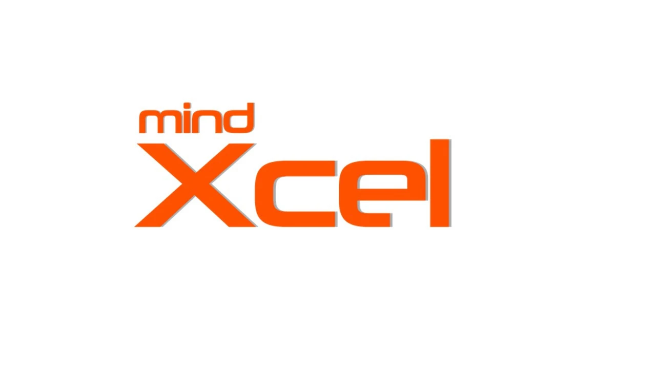 mindXcel Consultancy