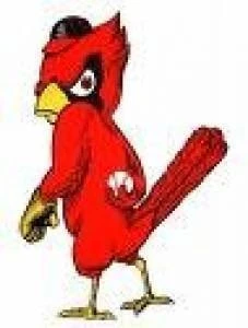 Wests Illawarra Cardinals Junior Baseball Club