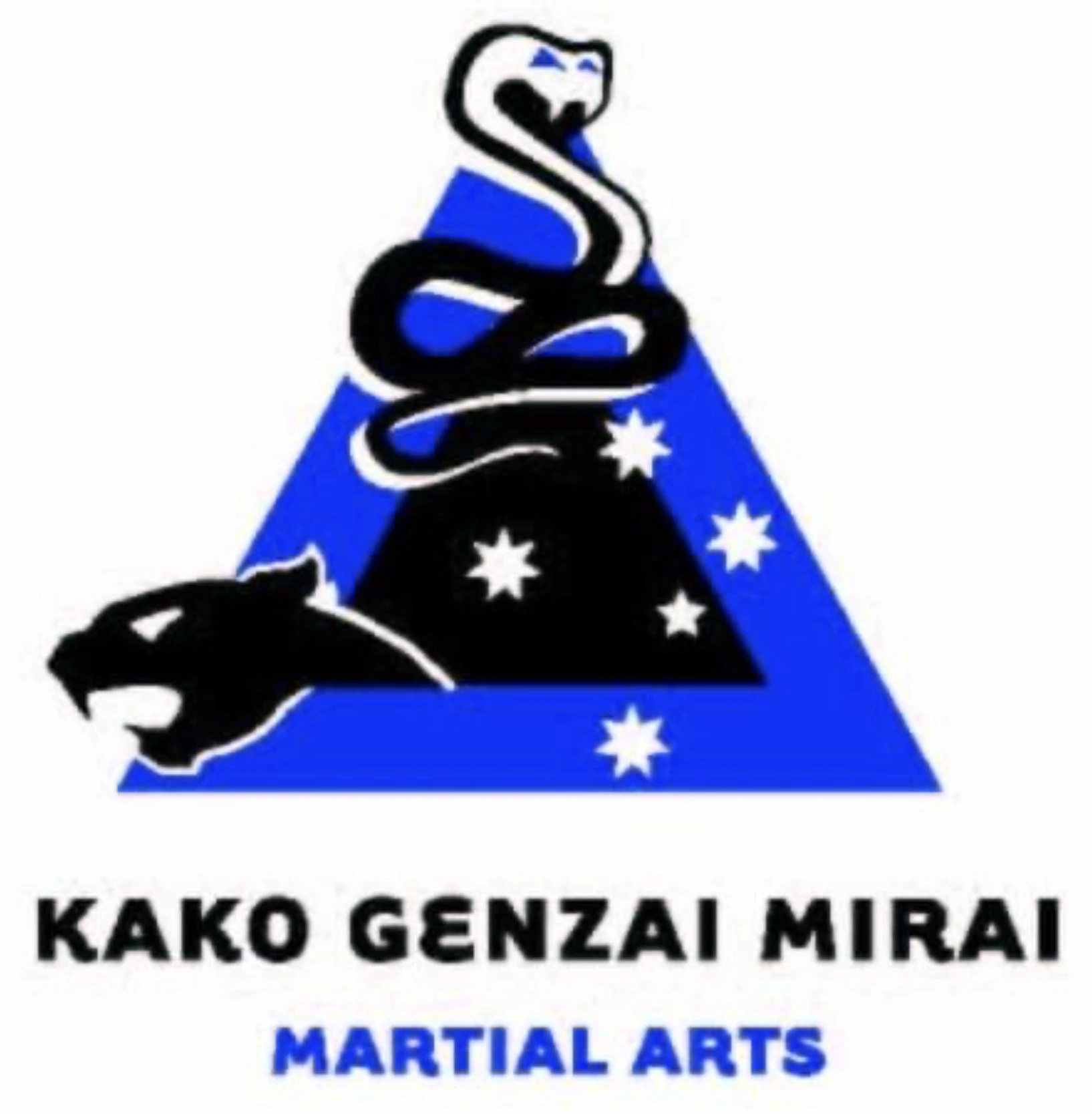 Kako Genzai Mirai Martial Arts