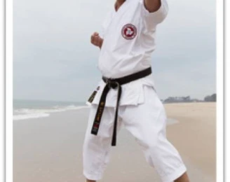 Seishinjuku Karate Dojo Brisbane