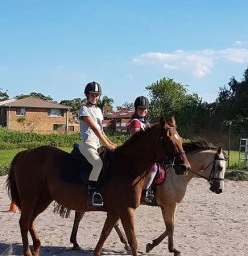 20% off your first private horse riding lesson Malabar Horse Riding Schools