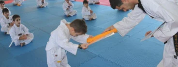 One FREE trial lessons &amp; FREE uniform Belfield Taekwondo Schools